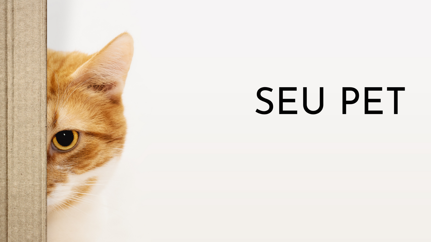 seu pet